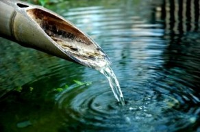 Counseling and Psychotherapy serving Chicago and the North Shore area